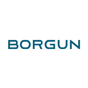 Borgun.png