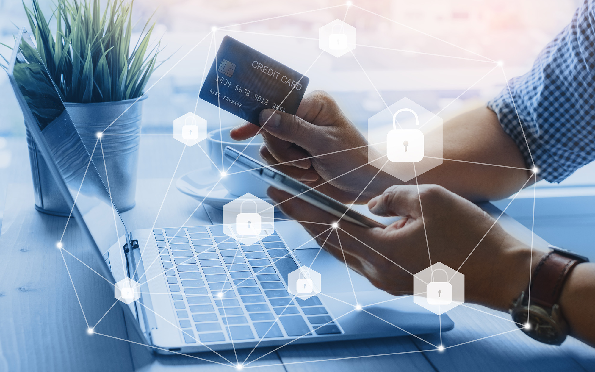 Read more about the article The Essential Guide to Credit Card Fraud Prevention & PCI Compliance
